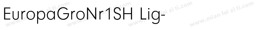 EuropaGroNr1SH Lig字体转换